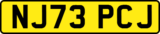 NJ73PCJ