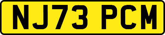 NJ73PCM