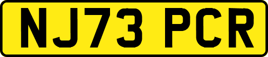 NJ73PCR