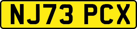 NJ73PCX