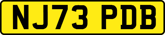 NJ73PDB