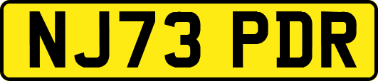 NJ73PDR