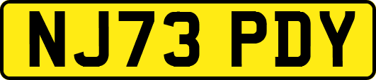 NJ73PDY