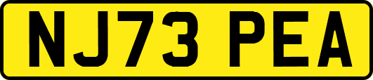NJ73PEA