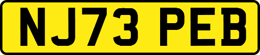 NJ73PEB