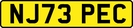 NJ73PEC