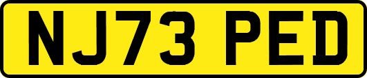 NJ73PED