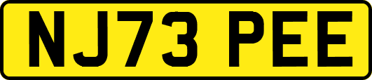 NJ73PEE