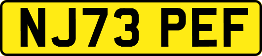 NJ73PEF