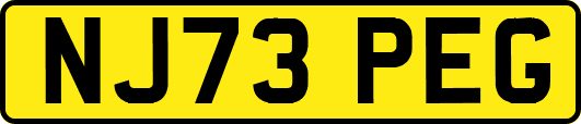 NJ73PEG