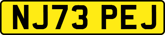 NJ73PEJ