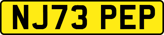 NJ73PEP