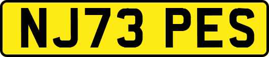 NJ73PES