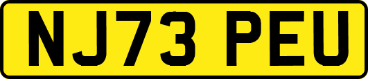 NJ73PEU