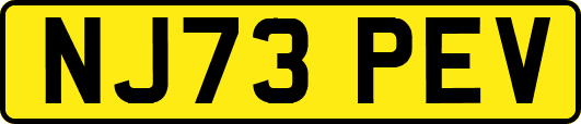 NJ73PEV
