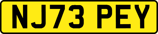 NJ73PEY