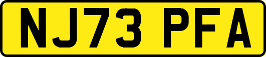 NJ73PFA