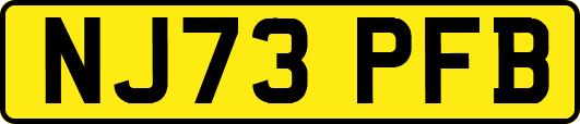 NJ73PFB