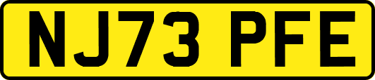 NJ73PFE