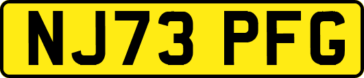 NJ73PFG