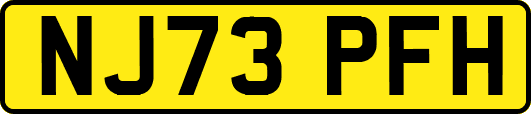 NJ73PFH