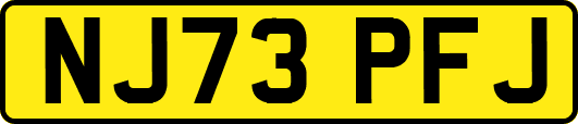 NJ73PFJ