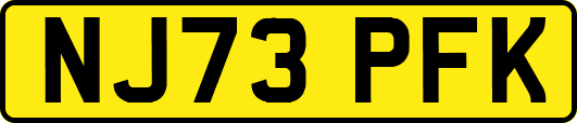 NJ73PFK