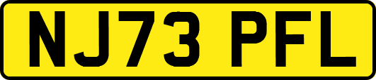 NJ73PFL