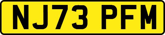 NJ73PFM