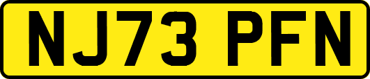 NJ73PFN