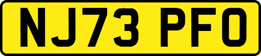 NJ73PFO