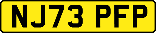 NJ73PFP