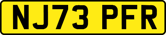 NJ73PFR