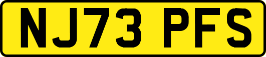 NJ73PFS