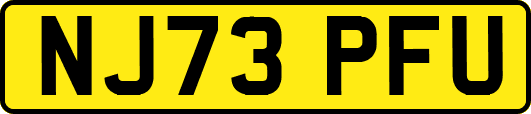 NJ73PFU