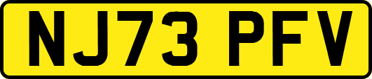 NJ73PFV