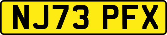 NJ73PFX