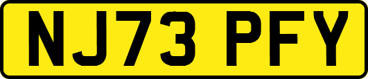 NJ73PFY
