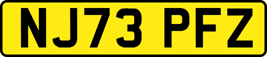 NJ73PFZ