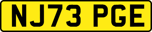 NJ73PGE
