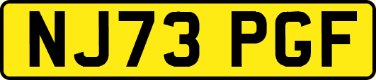 NJ73PGF