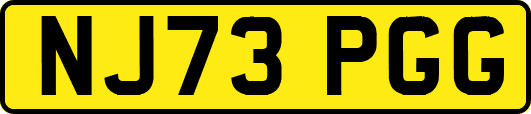 NJ73PGG
