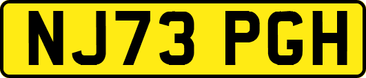 NJ73PGH