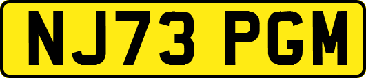 NJ73PGM