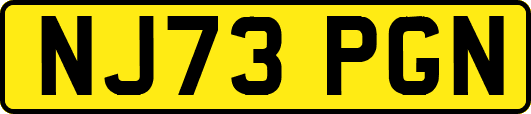 NJ73PGN