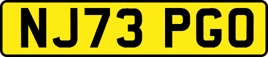 NJ73PGO