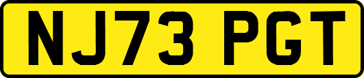 NJ73PGT
