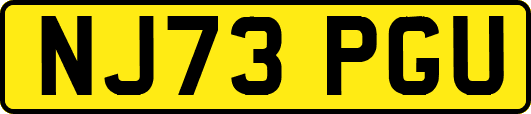 NJ73PGU