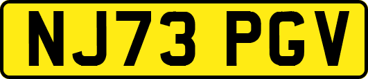 NJ73PGV
