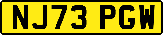 NJ73PGW